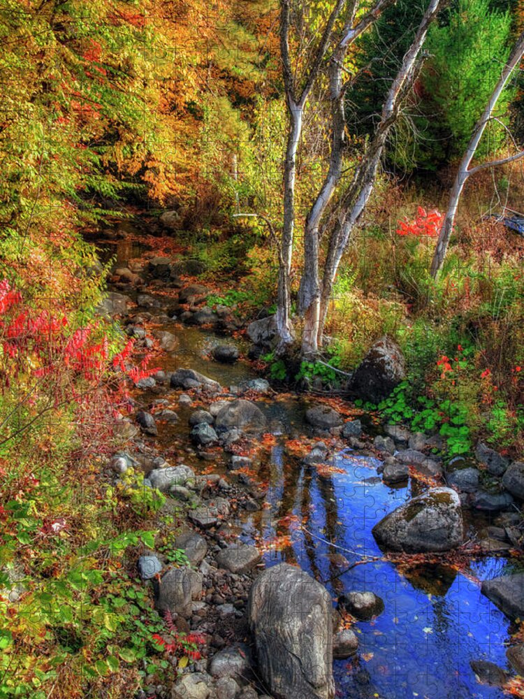 New England Fall Foliage Jigsaw Puzzle featuring the photograph New England Fall Foliage Art by Joann Vitali