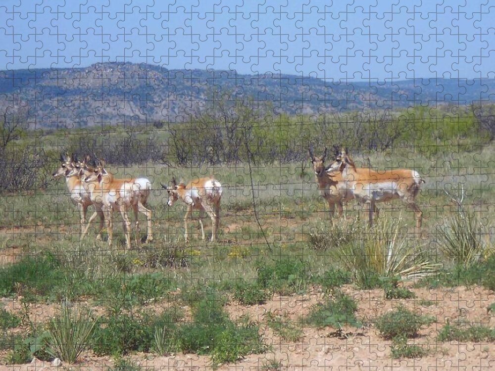 Antelope Jigsaw Puzzle featuring the photograph New Mexico Antelope 1 by Sheri Keith