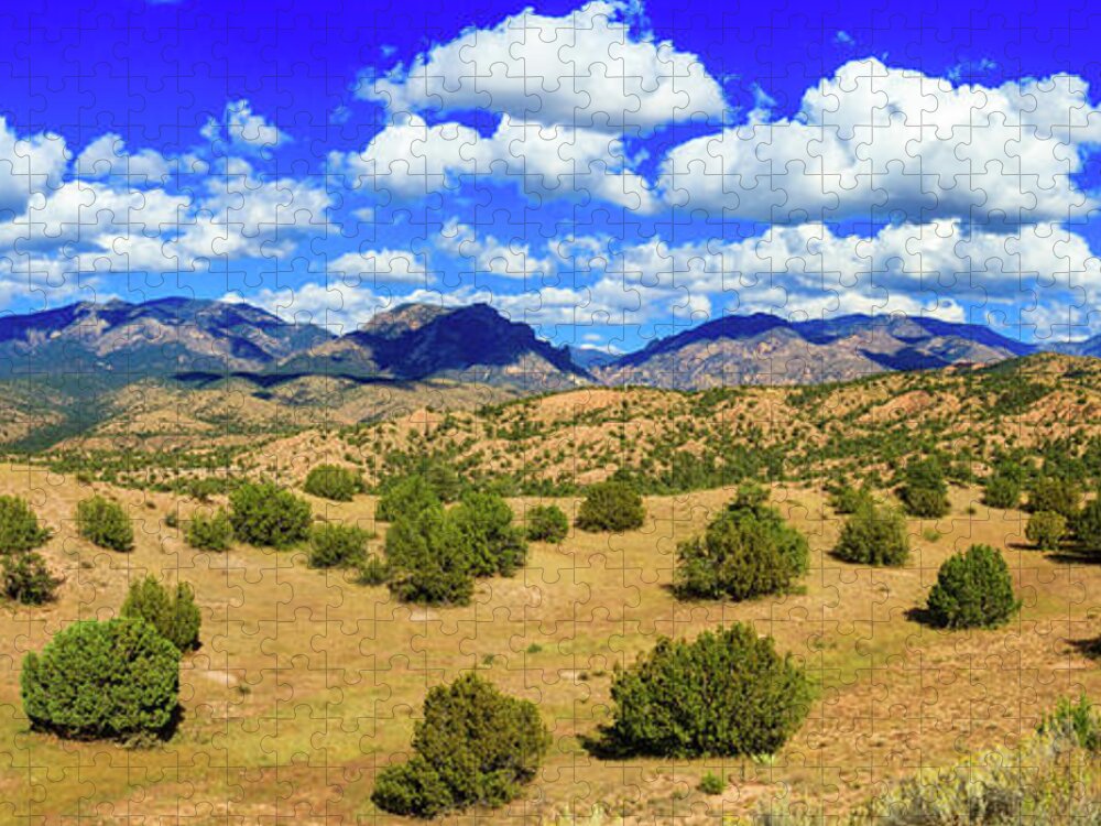 Gila National Forest Jigsaw Puzzle featuring the photograph New Mexico Beauty by Raul Rodriguez