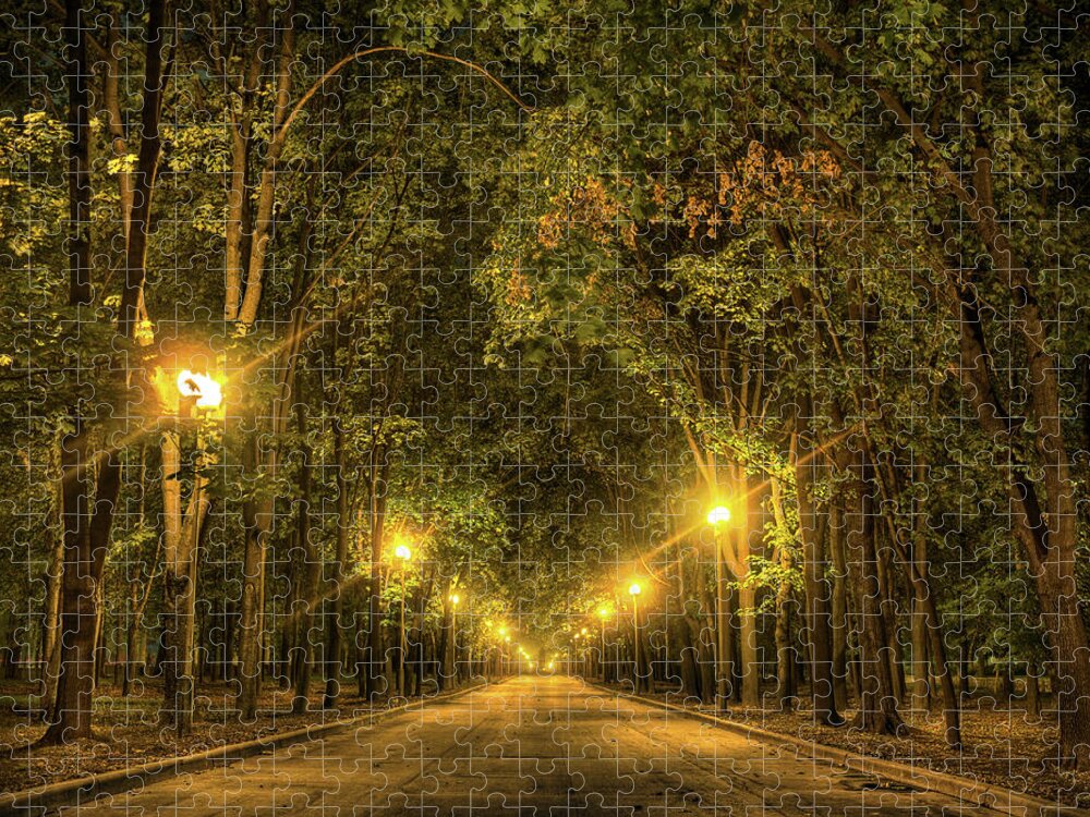 Alley Jigsaw Puzzle featuring the photograph Night alley near Lomonosov Moscow university by Alexey Kljatov