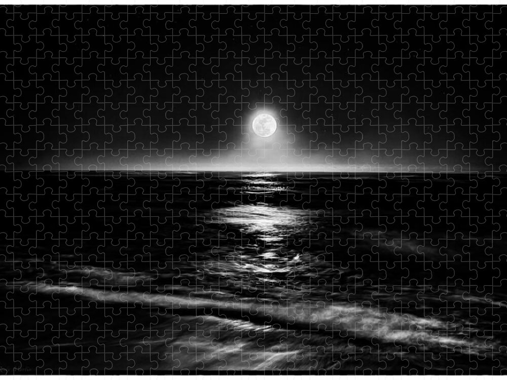 Ocean Jigsaw Puzzle featuring the photograph Night Light by C Renee Martin