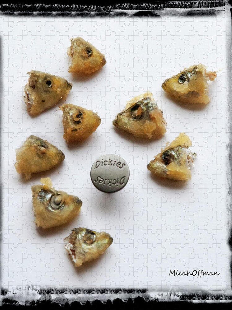Nine Jigsaw Puzzle featuring the photograph Nine trunked fish heads and one button by Micah Offman