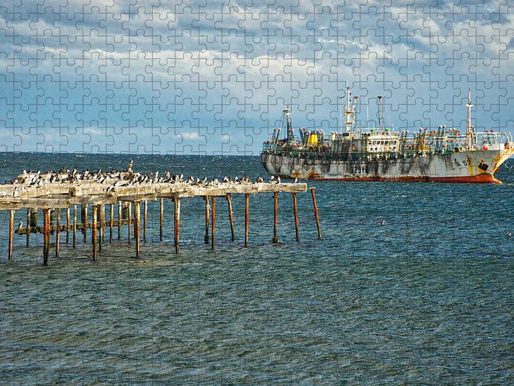 Punta Arenas Jigsaw Puzzle featuring the photograph Ning Tai 57 by Richard Gehlbach