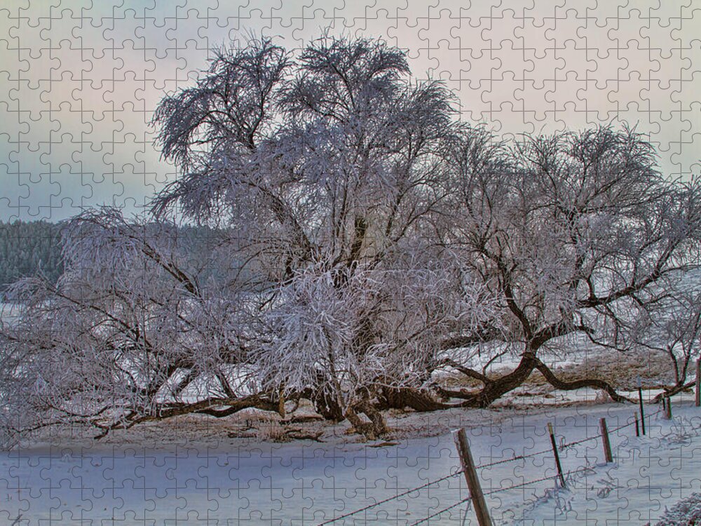 Tree Jigsaw Puzzle featuring the photograph North Side by Alana Thrower