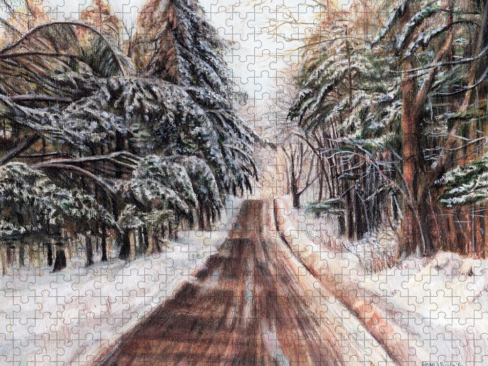 Winter Jigsaw Puzzle featuring the drawing Northeast Winter by Shana Rowe Jackson