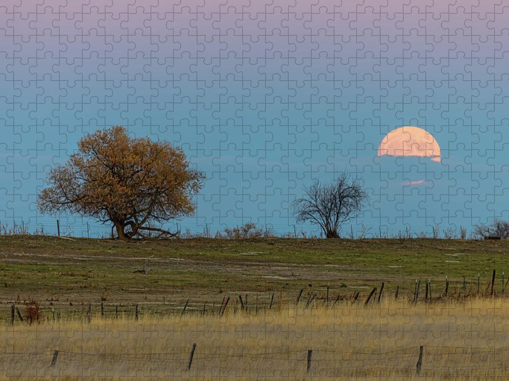 Moon Jigsaw Puzzle featuring the photograph November Supermoon Rising by James BO Insogna