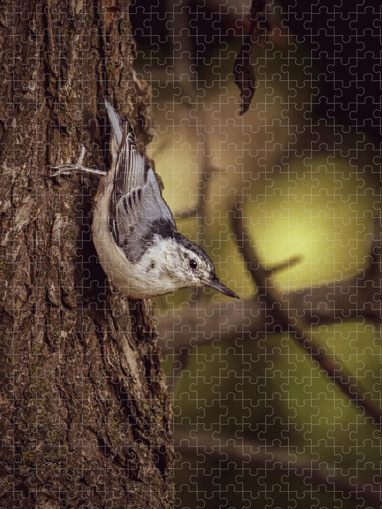 White Breasted Nuthatch Jigsaw Puzzle featuring the photograph Nuthatch Morning by Bob Orsillo