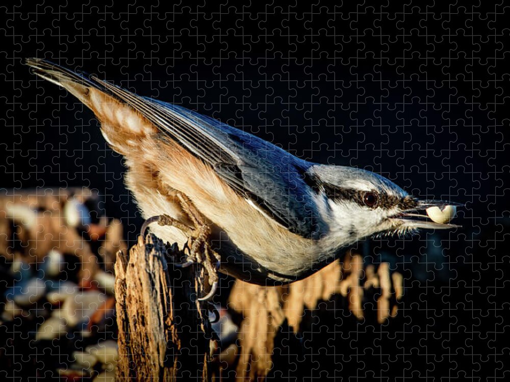 Nuthatch's Nut Jigsaw Puzzle featuring the photograph Nuthatch with a nut in the beak by Torbjorn Swenelius