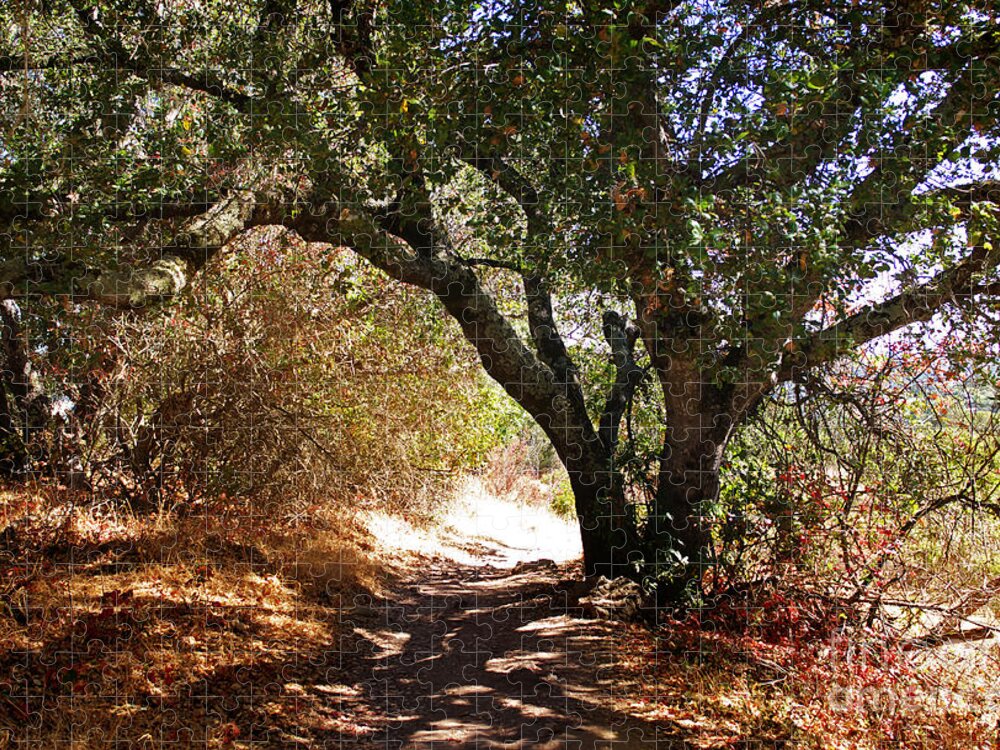 Oak Tree Jigsaw Puzzle featuring the photograph Oak Tree on Sylvan Trail by Laura Iverson