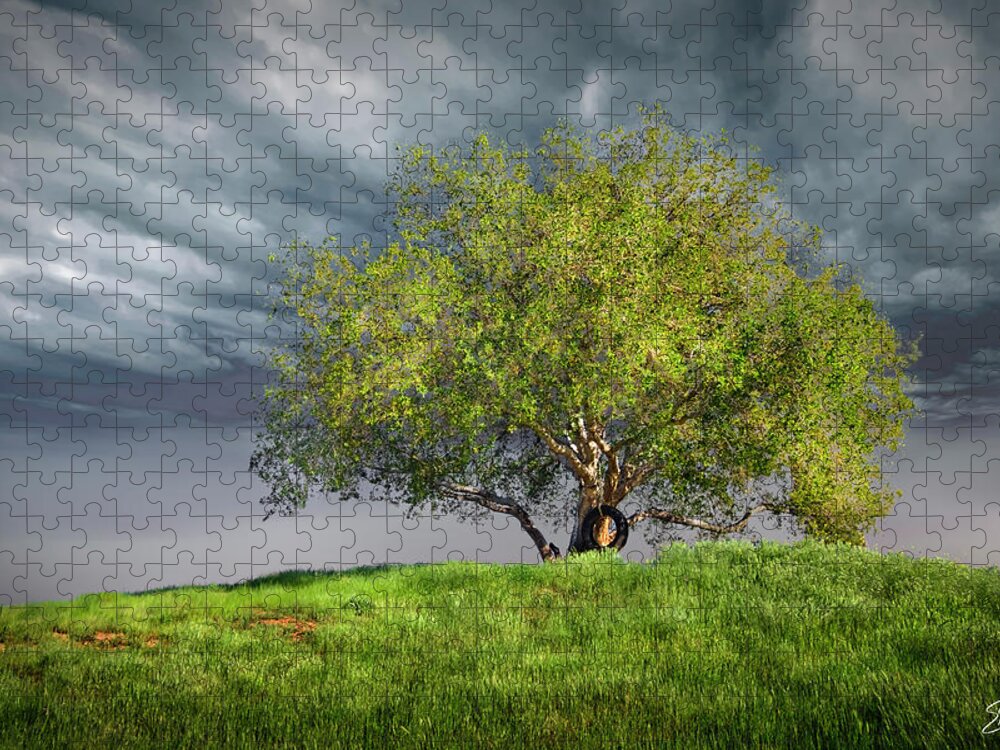 Oak Tree Jigsaw Puzzle featuring the photograph Oak Tree With Tire Swing by Endre Balogh