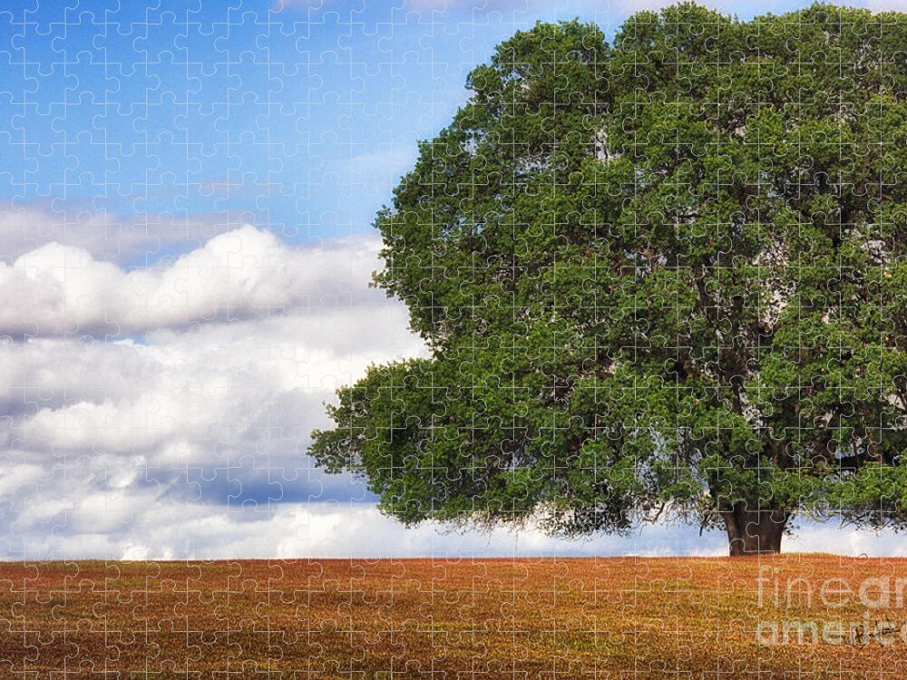 Oak Jigsaw Puzzle featuring the photograph OakTree by Anthony Michael Bonafede