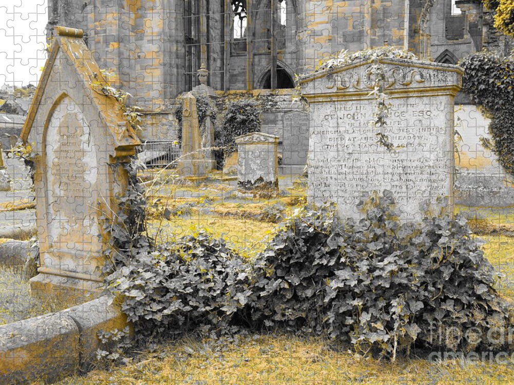 Ruins Of Melrose Abbey Jigsaw Puzzle featuring the photograph Oblivion. Ivy and Golden Lichen by Elena Perelman