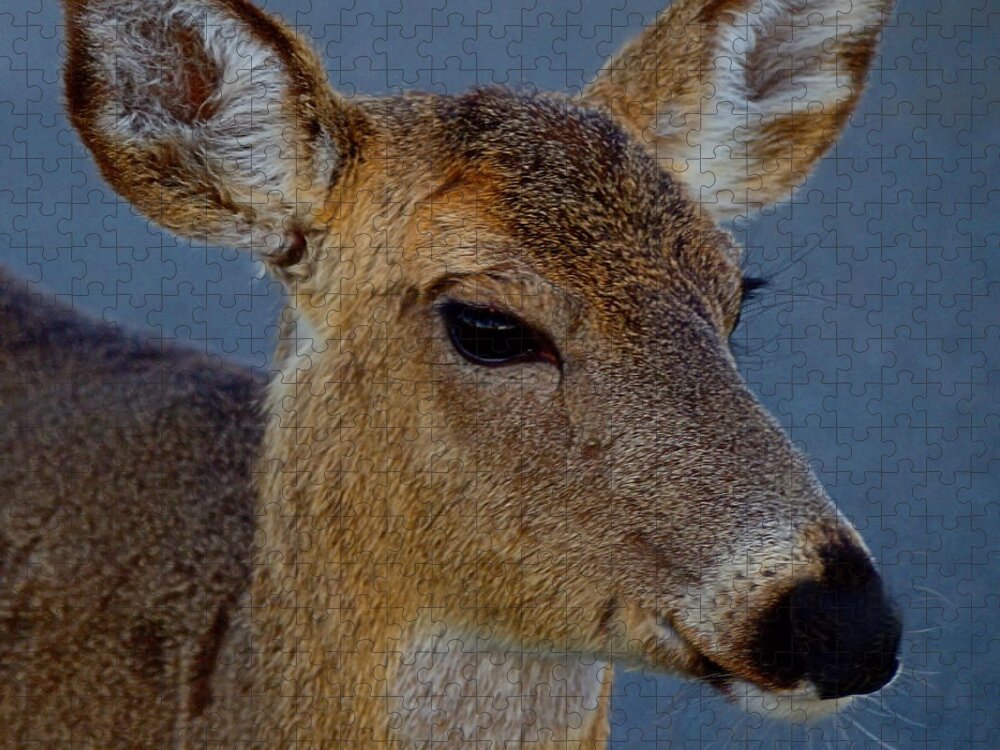 Deer Jigsaw Puzzle featuring the photograph Ocean Deer I I I by Newwwman