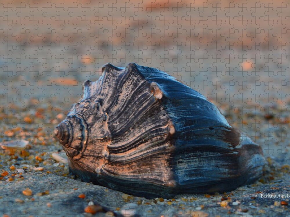 Ocean Jigsaw Puzzle featuring the photograph Ocean Treasures by Barbara Ann Bell