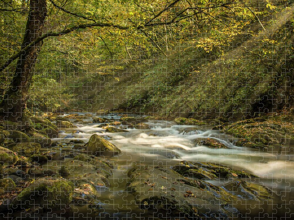 Adelboden Jigsaw Puzzle featuring the photograph Oconaluftee River by David Morefield