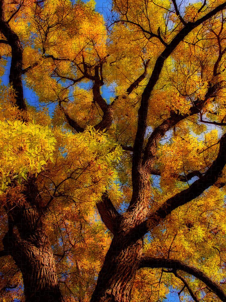 Cottonwood Jigsaw Puzzle featuring the photograph October Day Dream by James BO Insogna