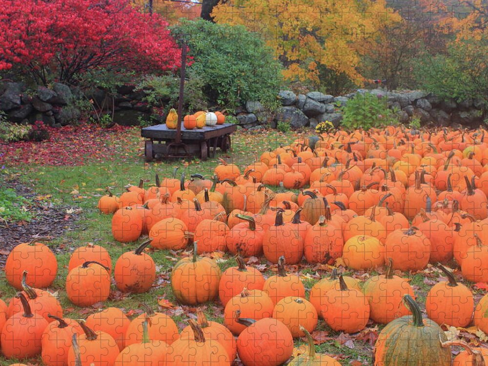 Pumpkin Jigsaw Puzzle featuring the photograph October Harvest by John Burk