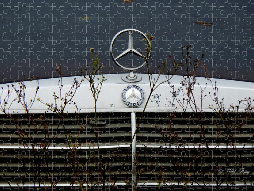 Mercedesbenz Jigsaw Puzzle featuring the photograph Oh Lord Won't You Buy Me ... by Wild Thing