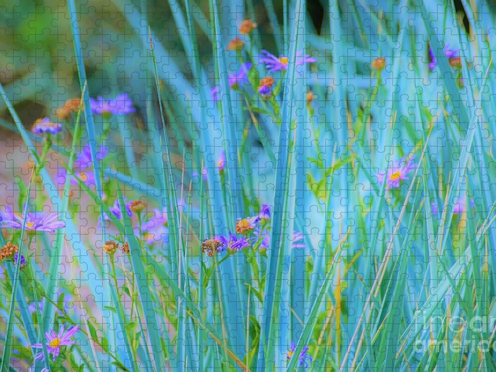 Grass Jigsaw Puzzle featuring the photograph Oh Yes by Merle Grenz