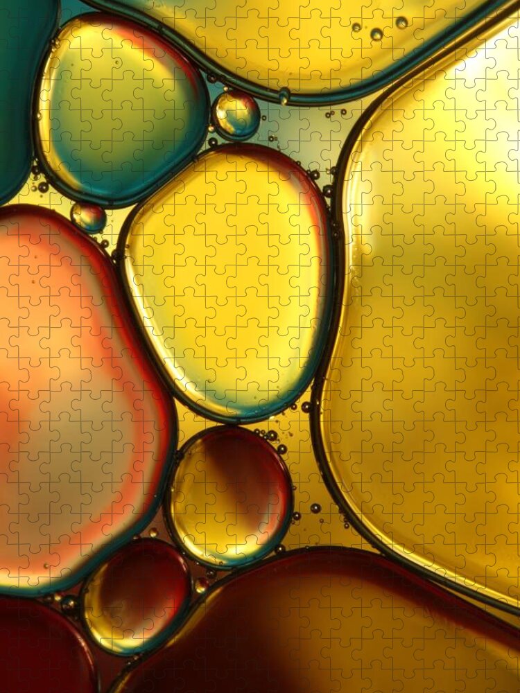 Oil Jigsaw Puzzle featuring the photograph Oil and Water Abstract II by Sharon Johnstone