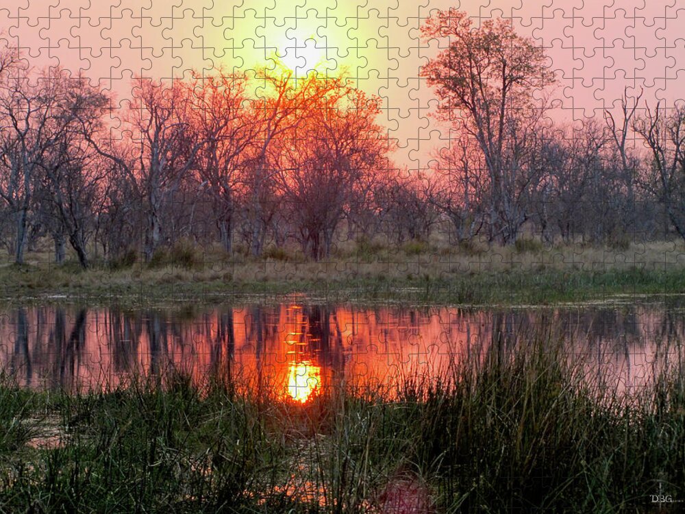 Landscape Jigsaw Puzzle featuring the photograph Okavango Delta by David Bader