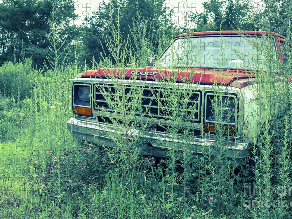 White River Junction Jigsaw Puzzle featuring the photograph Old Abandoned Pickup Truck in the Weeds by Edward Fielding
