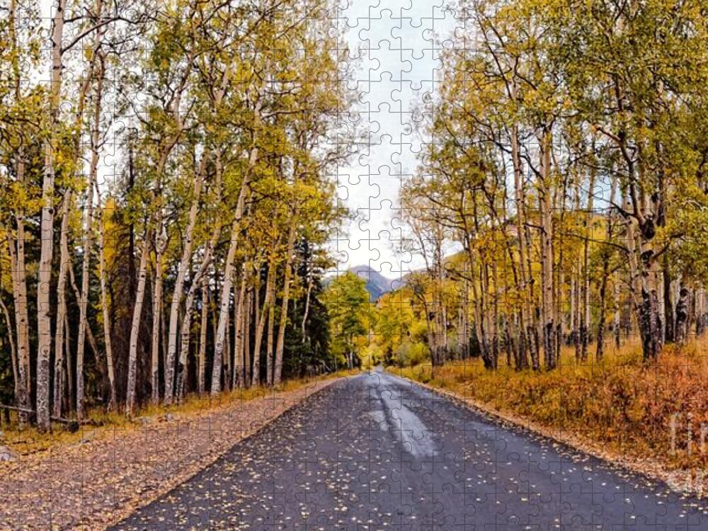 Estes Jigsaw Puzzle featuring the photograph Old Fall River Road with Changing Aspens - Rocky Mountain National Park - Estes Park Colorado by Silvio Ligutti