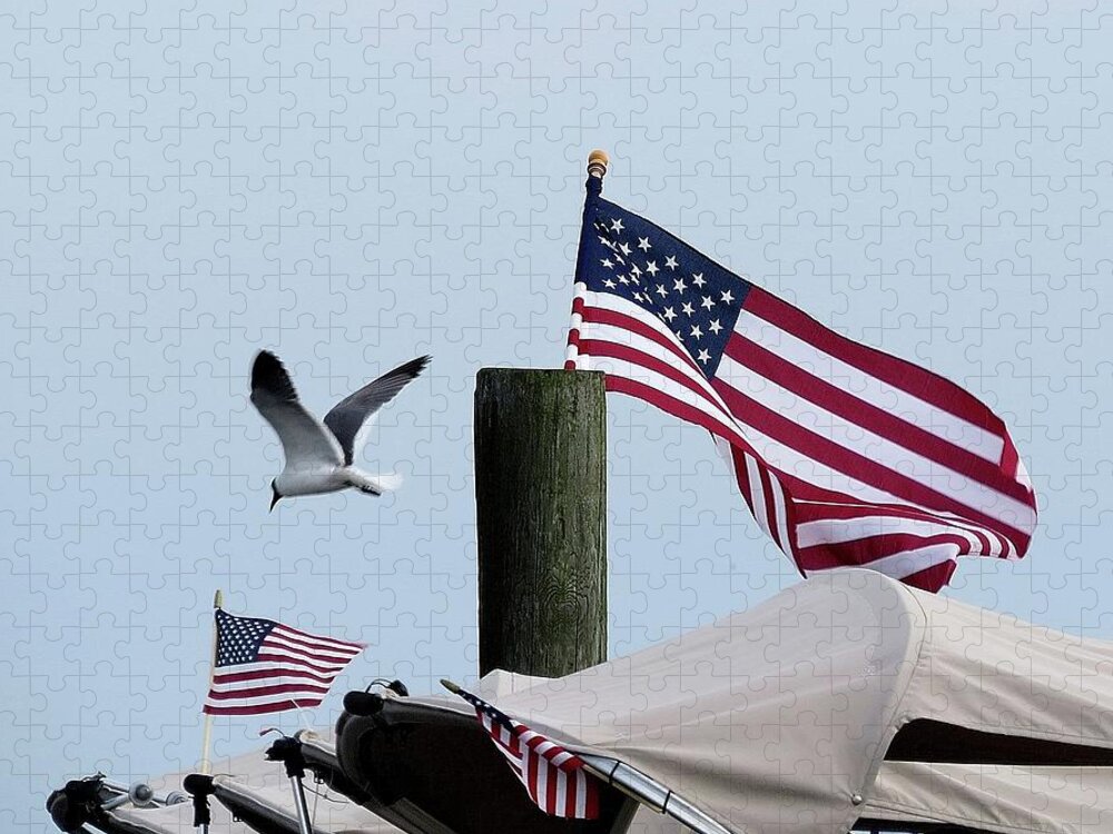 American Flag Jigsaw Puzzle featuring the photograph Old Glory and Gull by Linda Stern