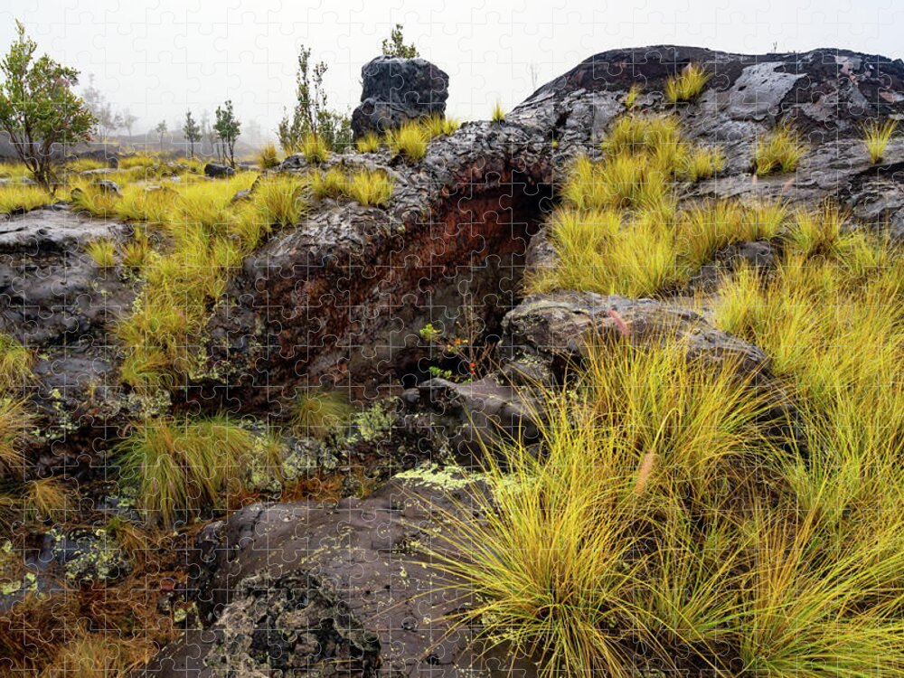 Landscape Jigsaw Puzzle featuring the photograph Old Lava Flow by Christopher Johnson