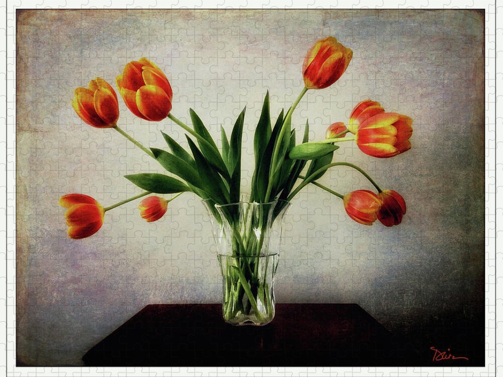 Tulips Jigsaw Puzzle featuring the photograph Old World Tulips by Peggy Dietz