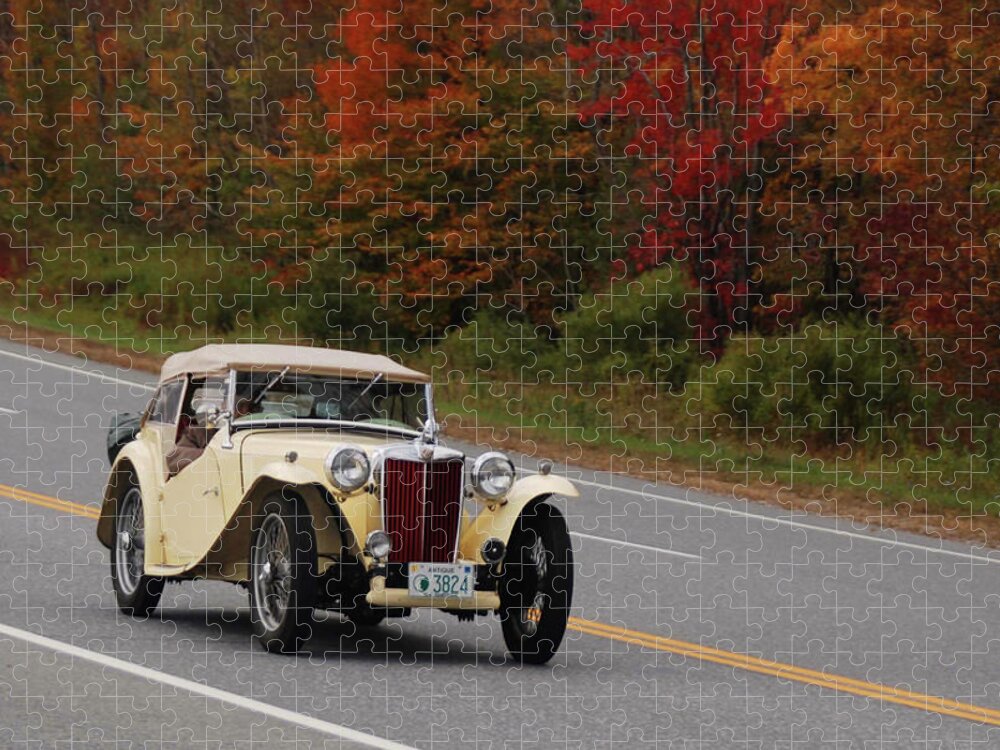Mg Jigsaw Puzzle featuring the photograph Old Yeller 8168 by Guy Whiteley