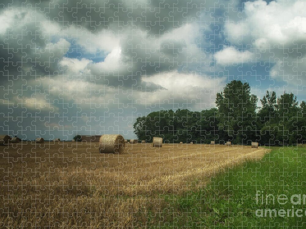 Michelle Meenawong Jigsaw Puzzle featuring the photograph On The Field Before Rain by Michelle Meenawong