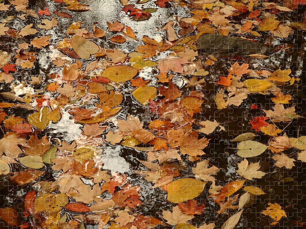 Nature Jigsaw Puzzle featuring the photograph On the Water by Michael McGowan