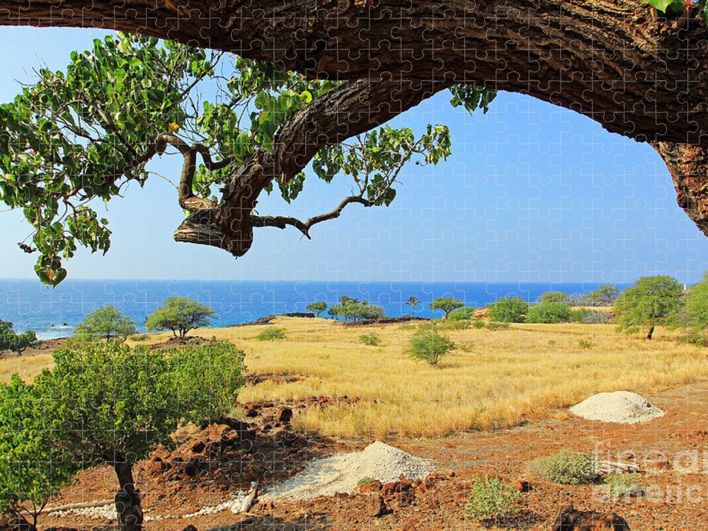 Lapakahi State Historical Park Jigsaw Puzzle featuring the photograph On the Way to Lapakahi by Jennifer Robin