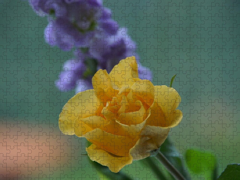 Floral Jigsaw Puzzle featuring the photograph On the window sill. by Elena Perelman