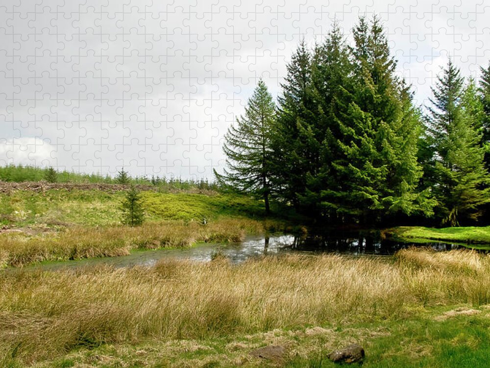Woods Jigsaw Puzzle featuring the photograph On the Woodland edge by Elena Perelman