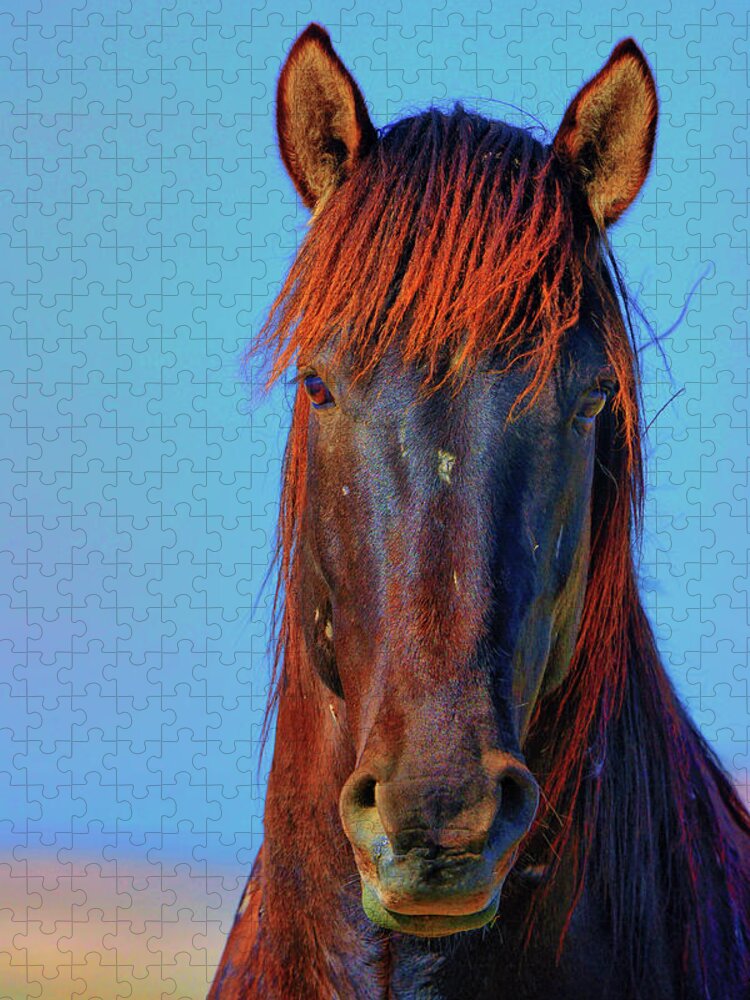 Horse Jigsaw Puzzle featuring the photograph Onaqui Wild Stallion Portrait by Greg Norrell