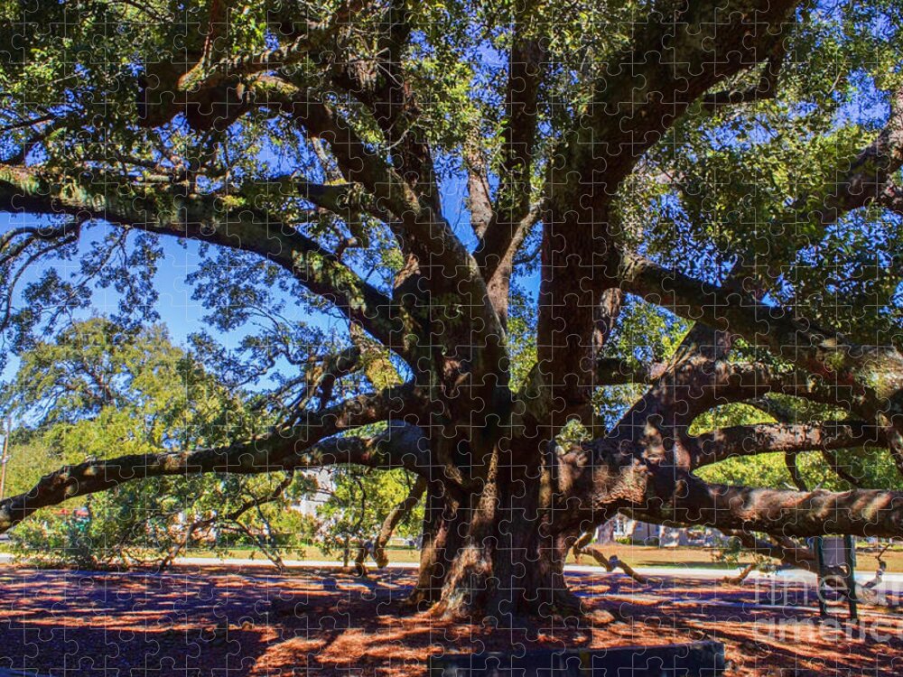 Tree Jigsaw Puzzle featuring the photograph One Friendship Tree by Roberta Byram