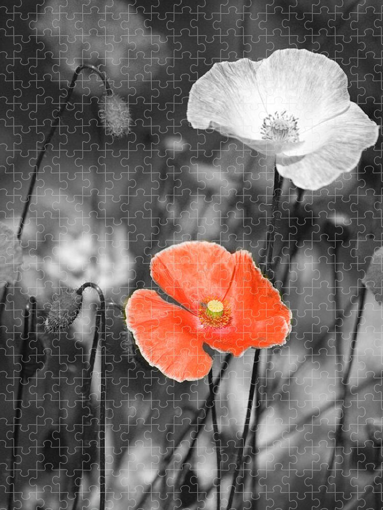 Nature Photography Jigsaw Puzzle featuring the photograph One Red Poppy by Bonnie Bruno