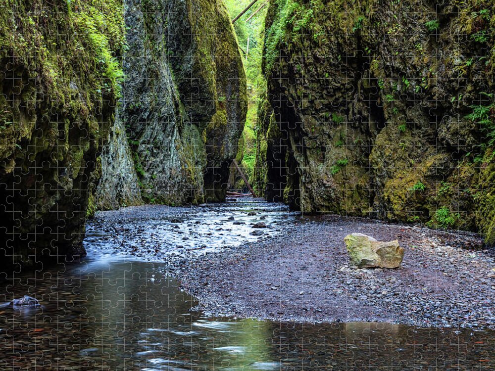 Oneonta Gorge Jigsaw Puzzle featuring the photograph Oneonta Gorge by Pierre Leclerc Photography