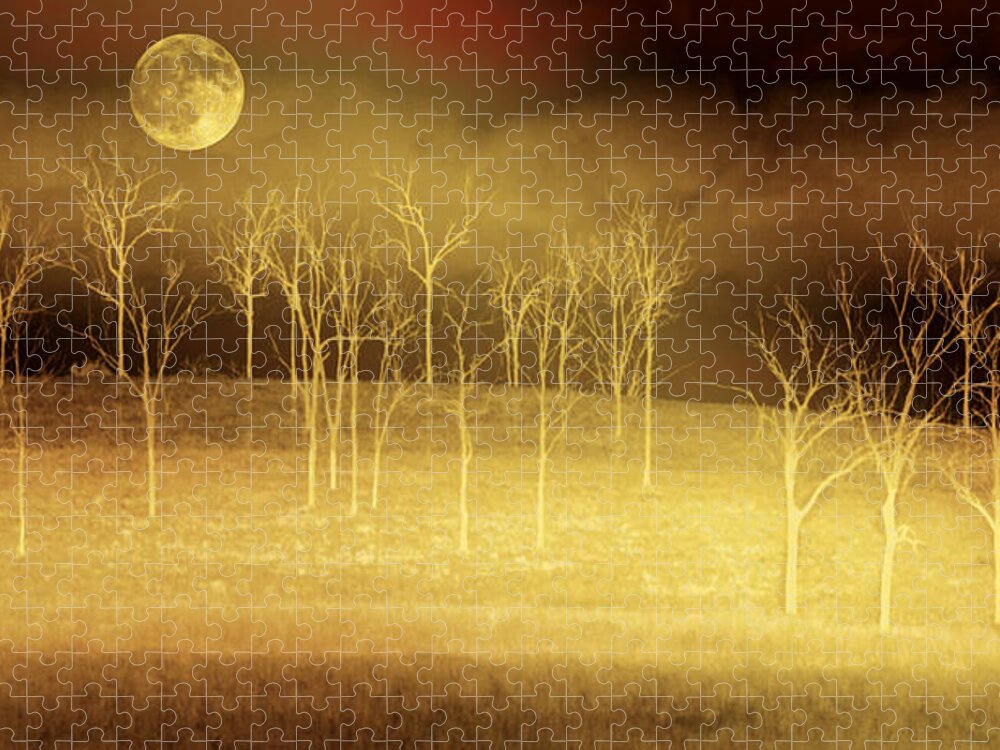 Landscapes Jigsaw Puzzle featuring the photograph Only at Night by Holly Kempe
