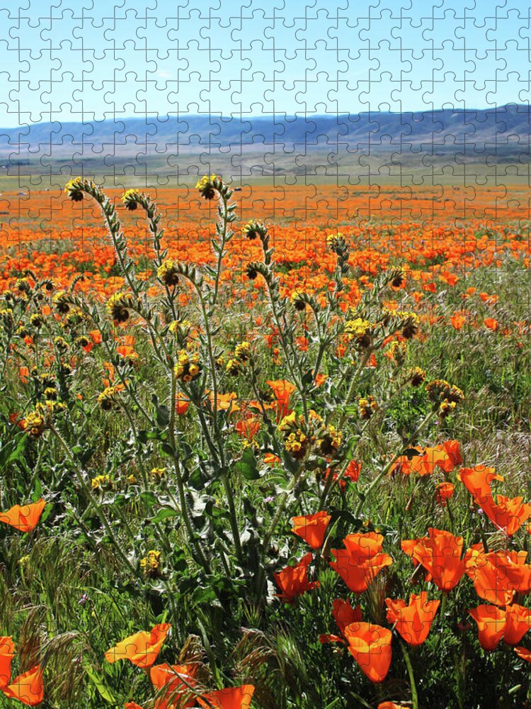 Poppies Jigsaw Puzzle featuring the mixed media Orange Poppies and Fiddleneck- Art by Linda Woods by Linda Woods
