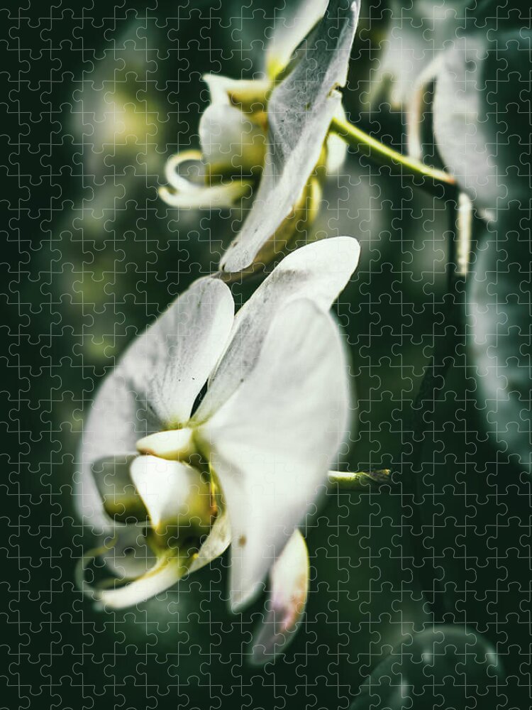 Orchid Jigsaw Puzzle featuring the photograph Orchid Art by Scott Wyatt