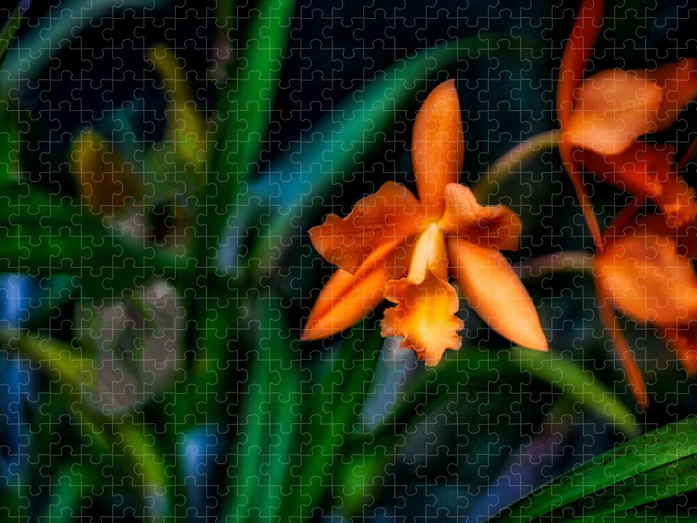 Flower Jigsaw Puzzle featuring the photograph Orchid Garden by Ches Black