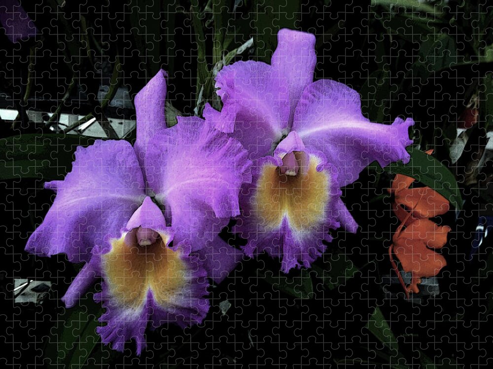 Orchid Jigsaw Puzzle featuring the photograph Orchids Purple Passion by Lesa Fine