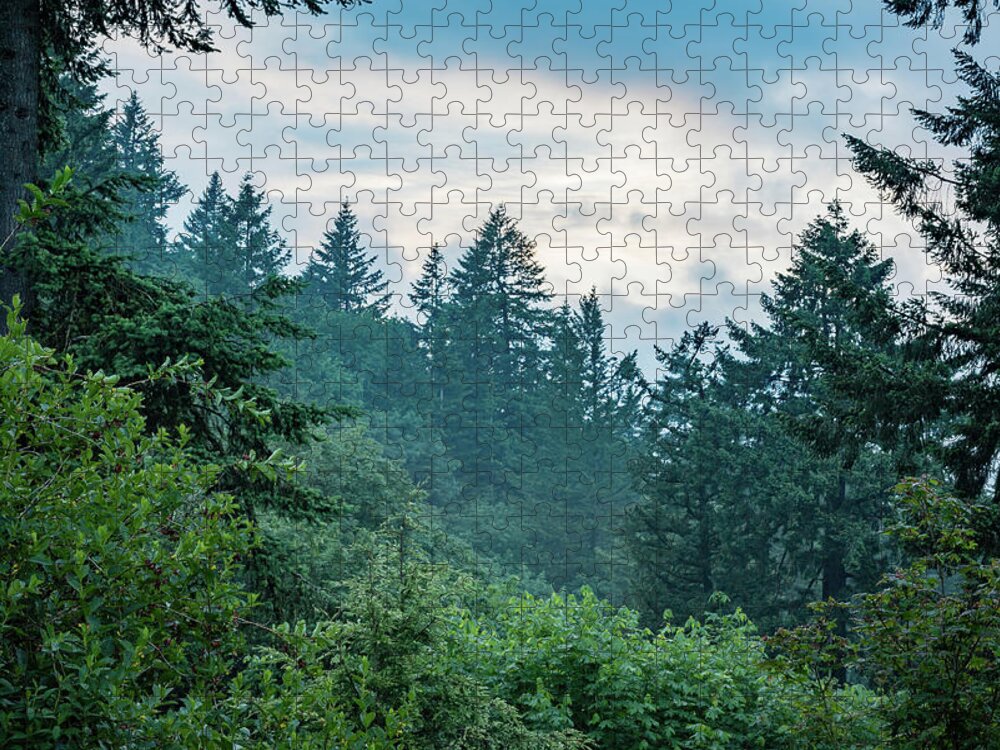 Cloudy Jigsaw Puzzle featuring the photograph Oregon Evergreens at Dusk by Anthony Doudt