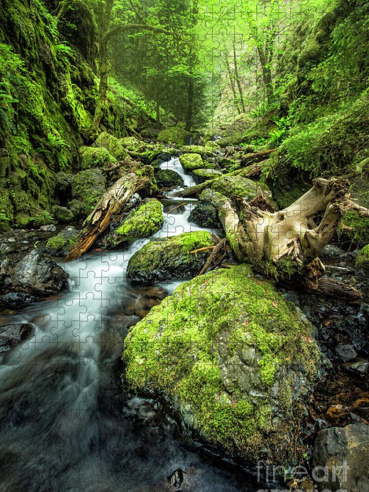  Oregon Jigsaw Puzzle featuring the photograph Oregon Stream 1 by Timothy Hacker