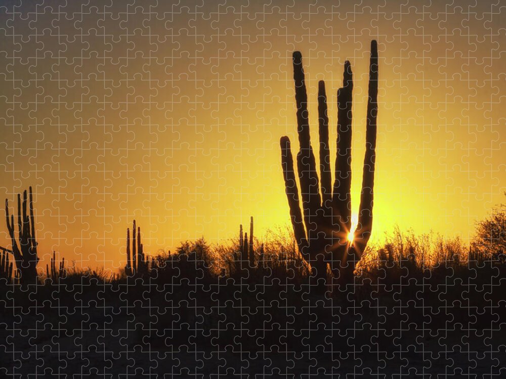 Organ Pipe Jigsaw Puzzle featuring the photograph Organ Pipe cactus by Tatiana Travelways