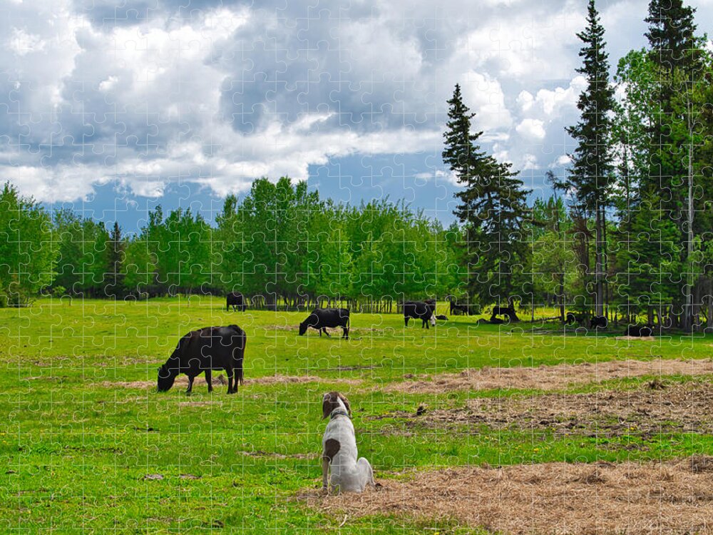 Cow Jigsaw Puzzle featuring the photograph Out in the Pasture by Cathy Mahnke