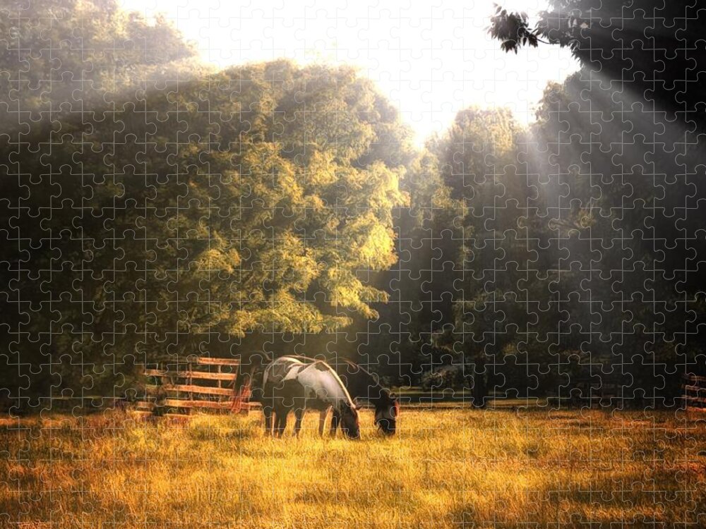 Horse Jigsaw Puzzle featuring the photograph Out To Pasture by Mark Fuller